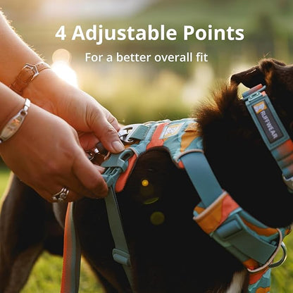 Ruffwear, Front Range Dog Harness, Reflective Soft Padded Everyday Harness with Dual Leash Clips, Adjustable and Lightweight Fit for Training or Walking for All Dogs, Coastal Mountains, X-Small
