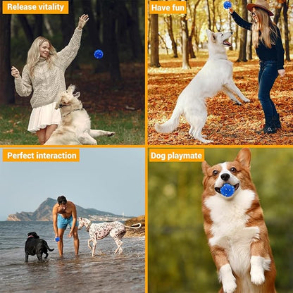 LIEVUIKEN Dog Balls Toys for Aggressive Chewers, Indestructible Durable Bouncy Floating Balls for Dogs to Fetch, Durable Solid Rubber Ball for Training Dog(2 Pack)