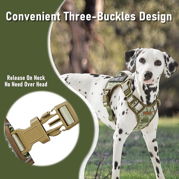 Light Dog Harness for Small Sized Dog Breeds, No Pull Pet Harness with 2 Leash Clips, Adjustable Soft Padded Dog Vest, Reflective Pet Oxford Vest, Puggle, Terriers, Beagle, Green Ethnic, Small