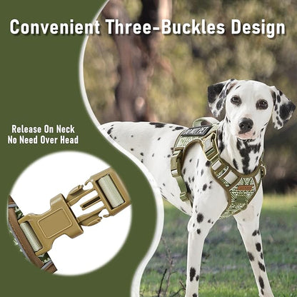 Light Dog Harness for Small Sized Dog Breeds, No Pull Pet Harness with 2 Leash Clips, Adjustable Soft Padded Dog Vest, Reflective Pet Oxford Vest, Puggle, Terriers, Beagle, Green Ethnic, Small