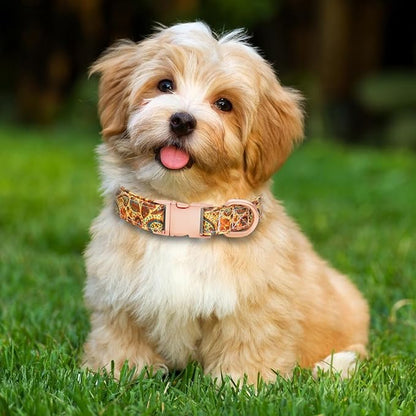 Dog Collar and Leash Set Girls Adjustable Puppy Collars with Floral Bow Tie for Small Medium Large Female Dogs, Orange Paisley, XS