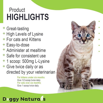 Trulysine L-Lysine for Cats Immune Support Oral Powder 21.2oz/600g - Cats & Kittens of All Age, Sneezing, Runny Nose Squinting, Watery Eyes-Fish & Poultry Flavor (U.S.A)(600 Grams (500mg / Scoop))