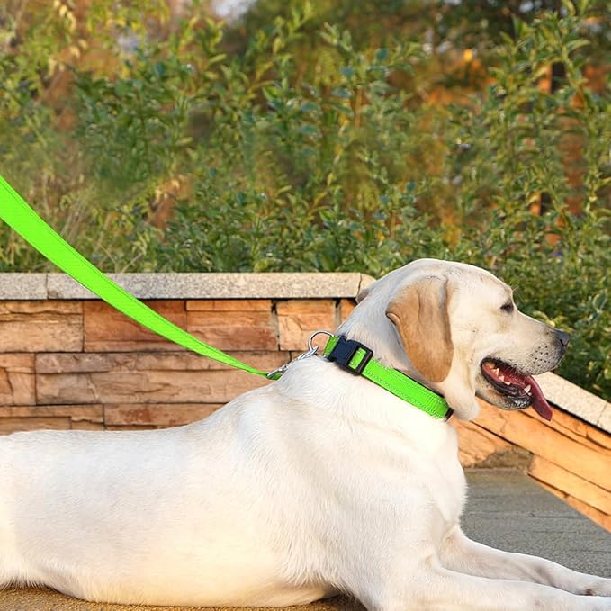 Dog Leash 6 FT Padded Handle Nylon Reflective Dogs Leashes for Small Dogs Puppy Green