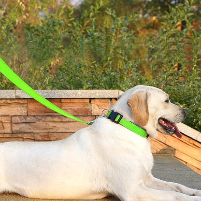 Dog Leash 6 FT Padded Handle Nylon Reflective Dogs Leashes for Small Dogs Puppy Green