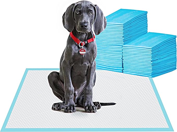 BESTLE Large Pet Training and Puppy Pads Pee Pad for Dogs 24"x24"-80 Count Super Absorbent & Leak-Proof