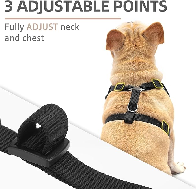 PUPTECK Small Dog Harness and Leash Set, No Pull Adjustable Puppy Cat Harness, Reflective Soft Mesh Pet Vest Small Sized, Black, XS