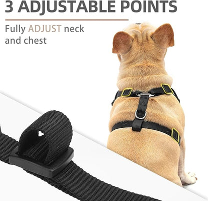 PUPTECK Small Dog Harness and Leash Set, No Pull Adjustable Puppy Cat Harness, Reflective Soft Mesh Pet Vest Small Sized, Black, XS