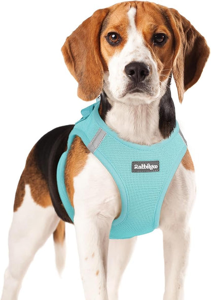 rabbitgoo Small Dog Harness, Step-in Soft Mesh Puppy Vest with Safety Buckle, Breathable Reflective Pet Harness for Small Medium Dogs, Mint Blue XL