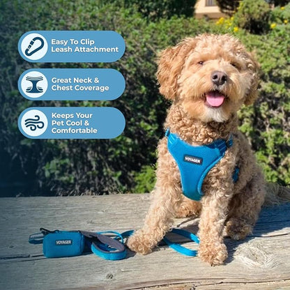 Best Pet Supplies Voyager Adjustable Step-in Flex Breathable Mesh Dog Harness for Small Medium Large Dogs (Turquoise), XL