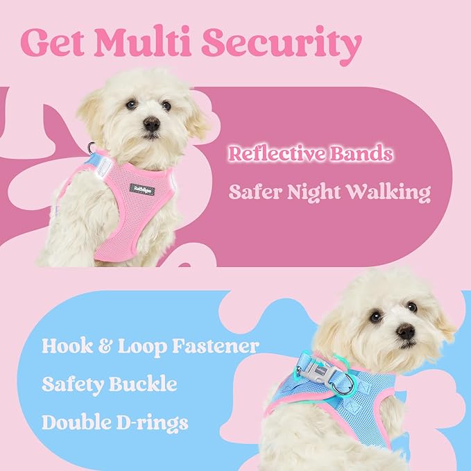rabbitgoo Small Dog Harness, Step-in Soft Mesh Puppy Vest with Safety Buckle, Breathable Reflective Pet Harness for Extra Small Dogs, Blue & Light Pink XXXS