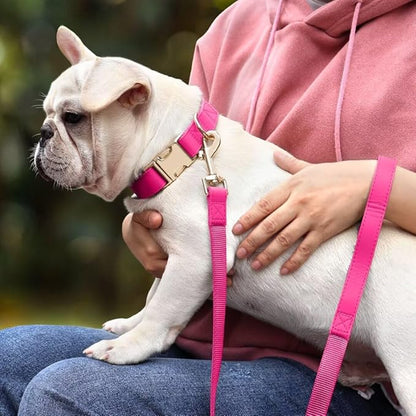 PET ARTIST Soft PU Leather Dog Collar and Leash Set, Bright & Stylish 5FT PU Leather Leash and Collar Set, Durable Pet Collars with Quick Release Metal Buckle for Large Dogs,Hot Pink,L(16-27")