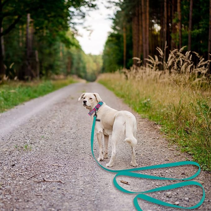 Wolfone 30ft Viridian Green Long Leash - Waterproof Training Dog Leash for Recall, Swimming, Camping, Beach, Hunting, Walking