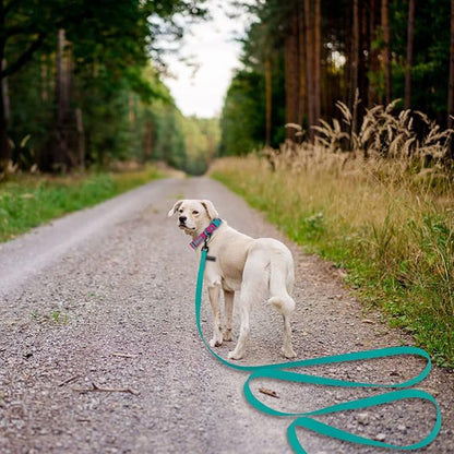 Wolfone 40ft Viridian Green Long Leash - Waterproof Training Dog Leash for Recall, Swimming, Camping, Beach, Hunting, Walking
