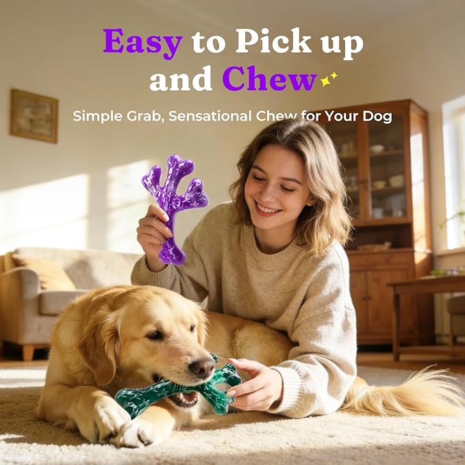 Frienhund Aggressive Chewers Dog Chew Toys - 2 Pack Tough Dog Toys for Aggressive Chewers Large Breed, Indestructible Dogs Toy for Gift, Interactive to Keep Them Busy