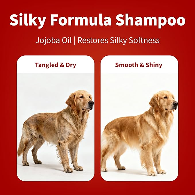 Arf Arf Silky Dog Shampoo for Dry, Itchy, Sensitive Skin - Soothing Oatmeal & Honey Formula for a Salon-Quality Smooth Coat - Gentle Puppy & Dog Wash for All Breeds - Fresh Scent, 16oz