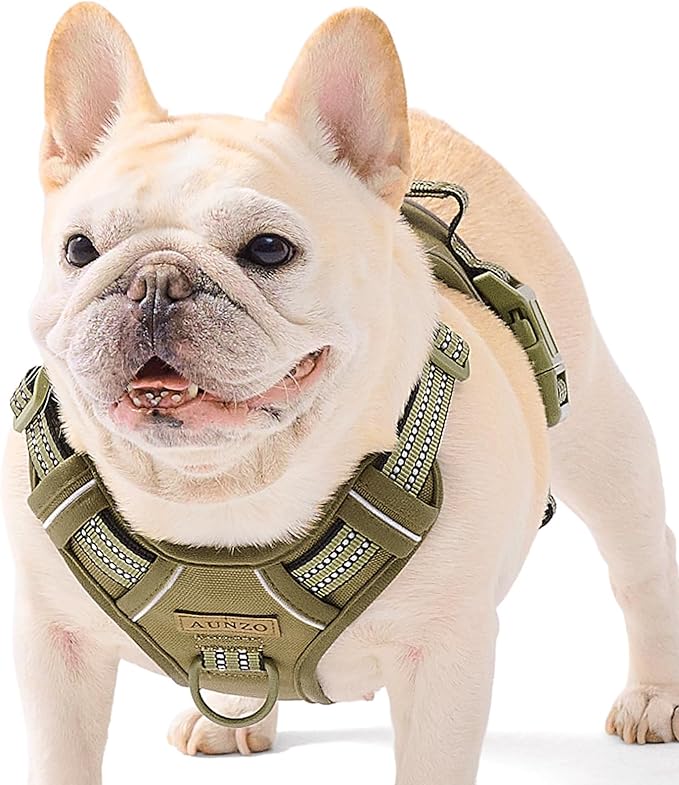 No-Pull Adjustable Dog Harness for Small Dogs, Easy Control with Handle, Havanese Chihuahua Puggle, Inescapable, Ez Walking, with Safe Reflective Strips, No Rub, No Choke, Army Green, S