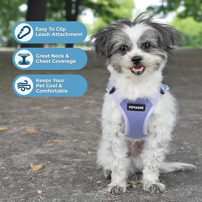 Best Pet Supplies Voyager Adjustable Step-in Flex Breathable Mesh Dog Harness for Small Medium Large Dogs (Lavender), M