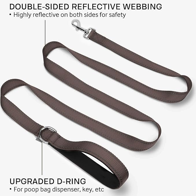 Joytale Double-Sided Reflective Dog Leash, 4 FT, Padded Handle Nylon Heavy Duty Leashes for Medium & Large Dogs Walking, Brown