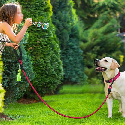 Dynmeow Reflective Dog Collar and Leash Set, 6FT Strong Climbing Rope Leash with Padded Handle, Adjustable Pet Collar with Soft Neoprene Padding for Large Dogs, Hot-Pink, L