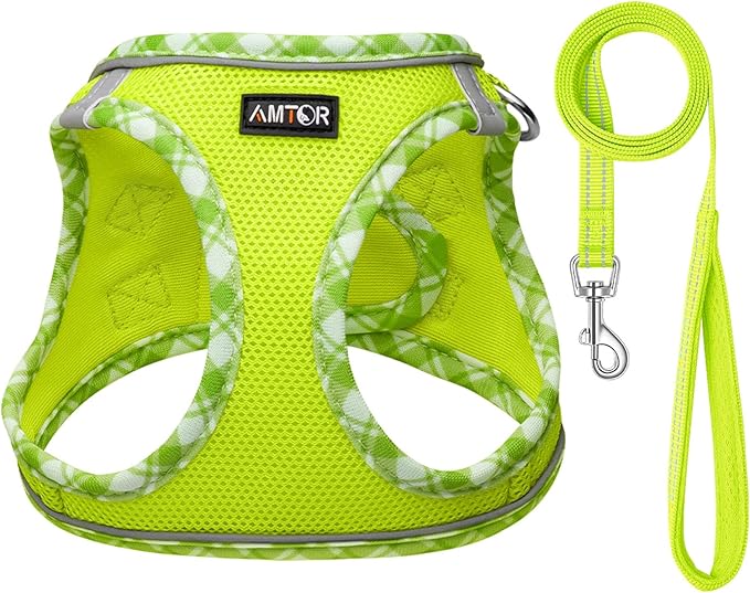 AMTOR Small Dog Harness with Leash Set, No Escape Easy Walk Puppy Harnesses for Training Walking, Step-in Reflective Soft Dogs Vest for XS S Medium Extra-Small Large Sized Dog(M Size,Green/White)