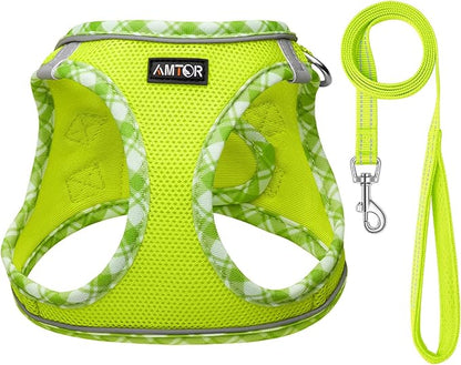 AMTOR Small Dog Harness with Leash Set, No Escape Easy Walk Puppy Harnesses for Training Walking, Step-in Reflective Soft Dogs Vest for XS S Medium Extra-Small Large Sized Dog(M Size,Green/White)