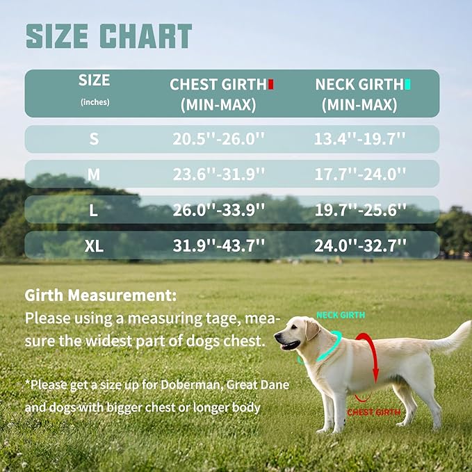 AUROTH Dog Harness and Leash Set, Soft Padded Dog Vest with 5.25FT Dog Leash, No Choke, Easy On Pet Vest, Adjustable Reflective No Pull Dog Harness for Large Dogs, Easy Walking and Training