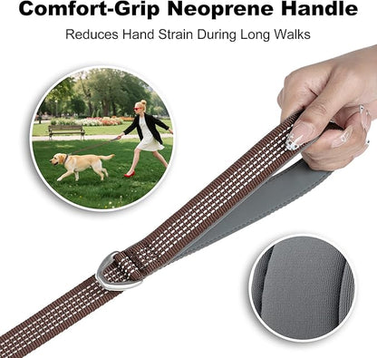 Plutus Pet Heavy Duty Dog Leash with Lockable Aluminum Carabiner, 4/6 Feet Long, Double-Sided Reflective Nylon, Padded Handle, for Puppy, Small, Medium and Large Dogs (Chocolate, 1" x 6')