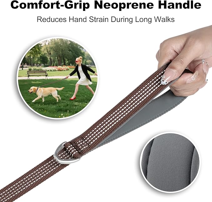 Plutus Pet Heavy Duty Dog Leash with Lockable Aluminum Carabiner, 4/6 Feet Long, Double-Sided Reflective Nylon, Padded Handle, for Puppy, Small, Medium and Large Dogs (Chocolate, 1" x 4')