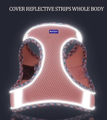 Step-in Mesh Dog Harness and Leash Set - Breathable, Reflective, Escape-Proof Vest - No Choke, Lightweight Air Mesh
