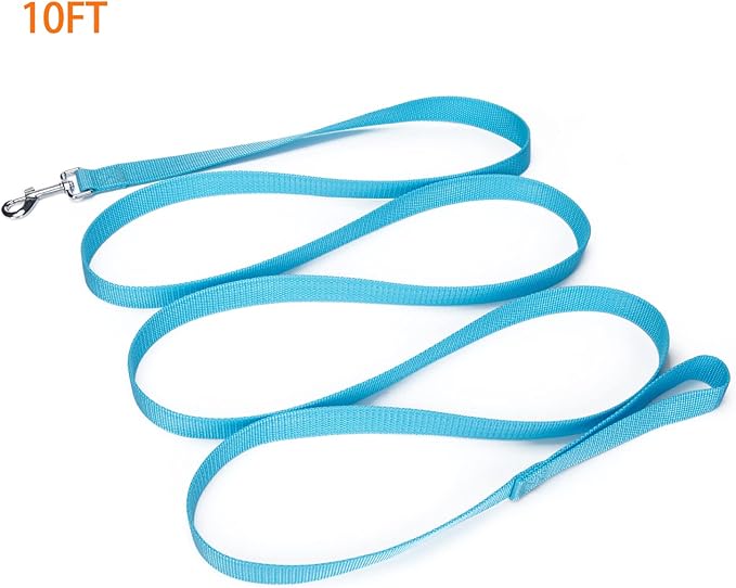 Siumouhoi Strong Durable Nylon Dog Training Leash, 1 Inch Wide Traction Rope, 10 ft Long, for Small and Medium Dog (Mint Blue, 10 Feet)