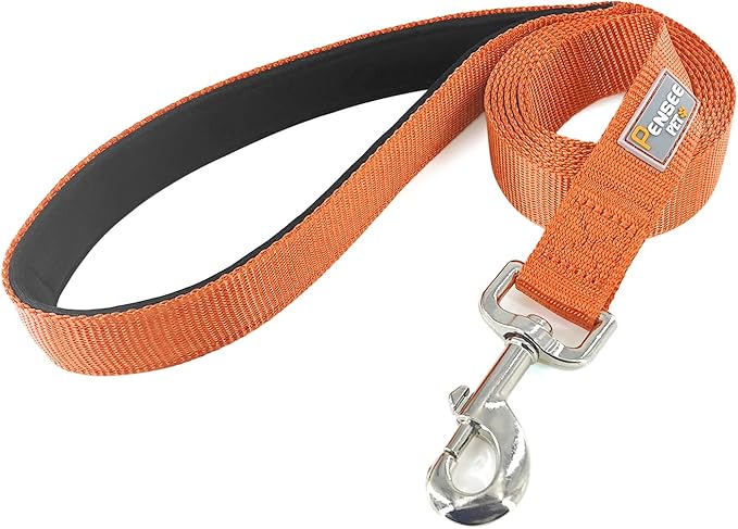 Basic Dog Leashes 6 FT Padded Handle Nylon Dogs Leashes for Large Dogs Orange
