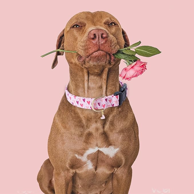 Faygarsle Dog Collar for Small Medium Large Dogs Cute Puppy Collars Valentine's Day Heart Print Dog Collar Pink and Purple Hearts S