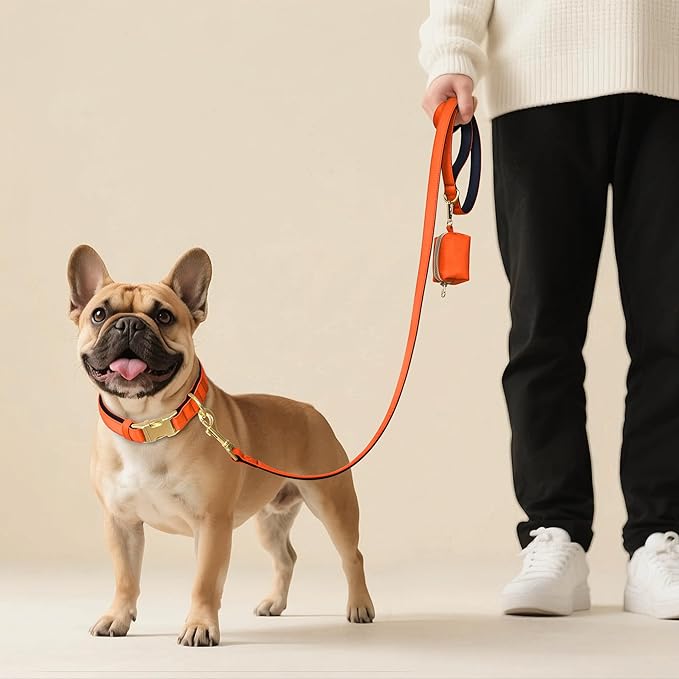 Didog Soft Padded Dog Collar for Large Dogs, Colorful and Durable Pet Collar with Quick Release Buckle, Light and Breathable for Daily Walking, Orange, L