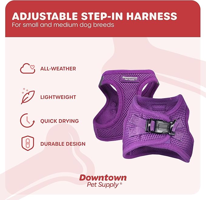 Downtown Pet Supply Step-in Dog Harness – No Pull, Adjustable Padded Mesh with Reflective Trim, Secure Buckle Strap – Comfortable & Breathable Small Dog Harness, Smal, Purple