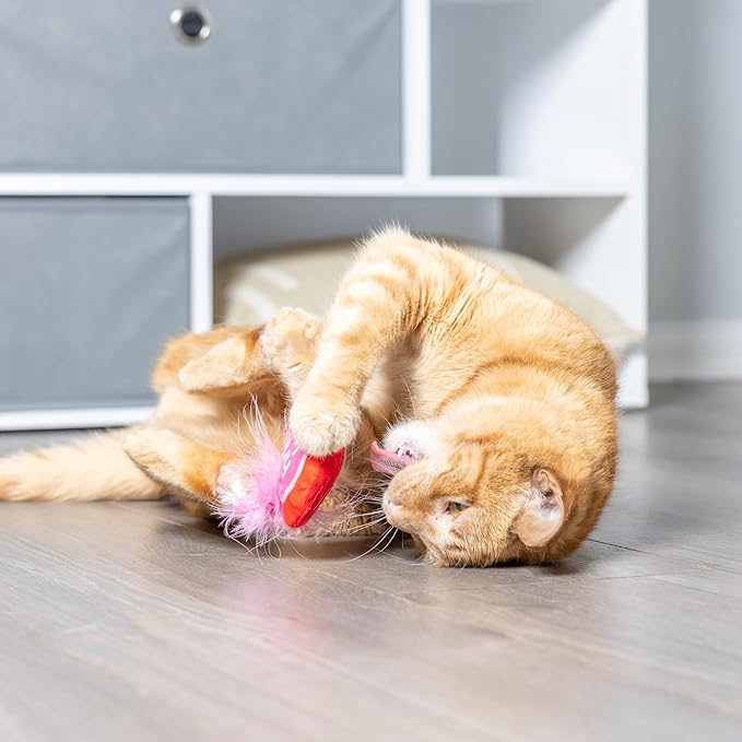 Huxley & Kent Plush Cat Toy - Interactive Catnip Toy for Cats & Kittens - Soft with Crinkle & Catnip - Fun Indoor Play - First Lick Heart & Be Mine Coffee, 2pk