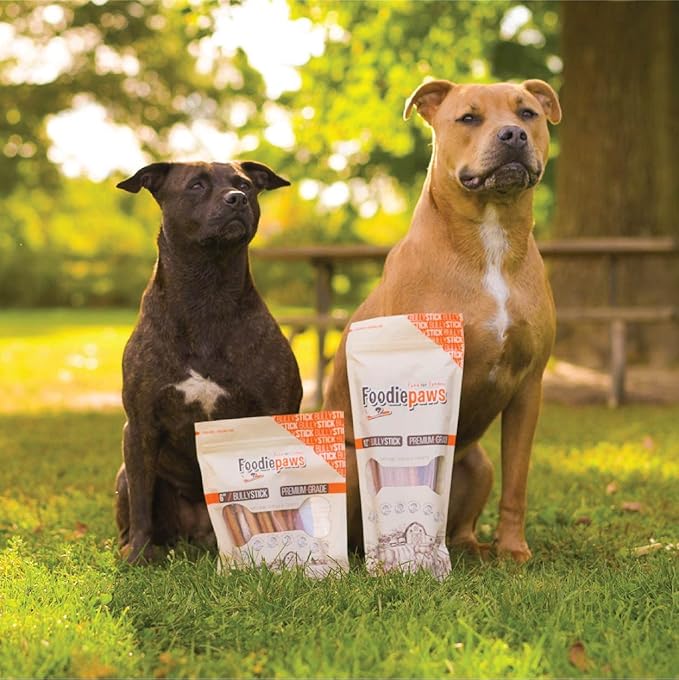 FOODIEPAWS 6 Inch Jumbo Bully Sticks for Dogs, 20 Pack | All Natural, Grass-Fed Beef Pizzle | Rawhide-Free, Odor-Free, Fully Digestible & Long Lasting Dog Chews | For Large Breeds & Aggressive Chewers