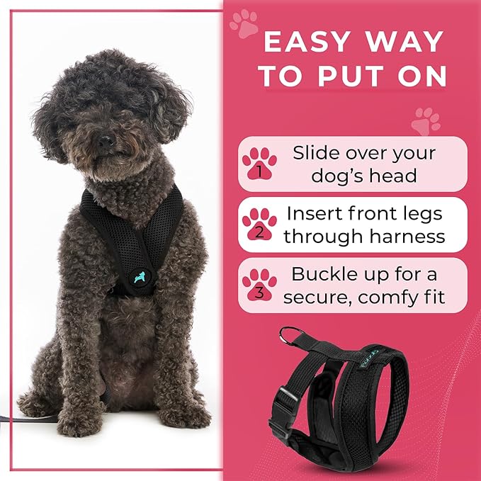 Gooby Black X-Large Polyester Comfort X Harness for Small Dogs, No Pull, Choke-Free, Lightweight Mesh, Machine Washable