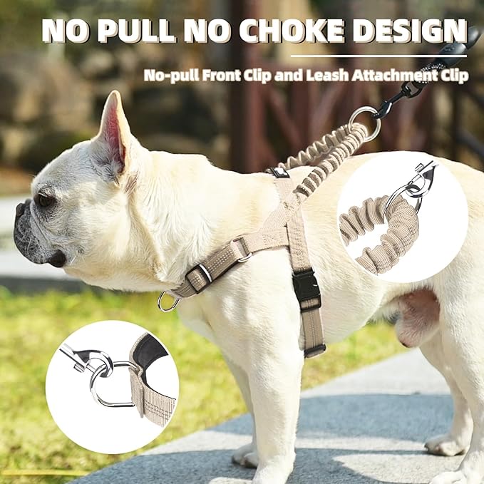 PUPTECK No Pull Dog Harness Medium Sized Dog, Adjustable Reflective Pet Vest Harness with Bungee Handle, Escape Proof No Choke Harness for Medium Dogs Walking Training, Beige M