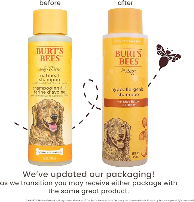 Burt's Bees for Pets Hypoallergenic Shampoo for Dogs with Shea Butter and Honey, 95% Natural Origin Formulas, Shampoo for Sensitive Dogs - Gentle Dog Shampoo, 16 oz