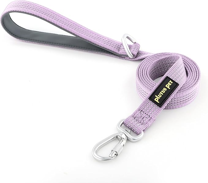 Plutus Pet Heavy Duty Dog Leash with Lockable Aluminum Carabiner, 4/6 Feet Long, Double-Sided Reflective Nylon, Padded Handle, for Puppy, Small, Medium and Large Dogs (Lilac Purple, 1" x 4')