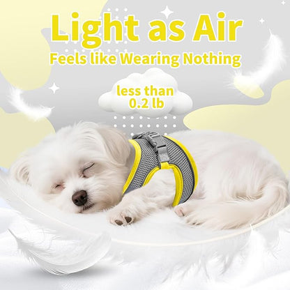 AIITLE Dog Harness, No-Pull Cat Harness with a Leash, Adjustable Reflective Dog Vest, Cat Harness Escape Proof, Outdoor Walking, Running,Training for Extra Small Dogs and House Cats Yellow XXXS