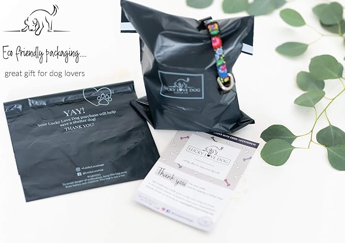 Lucky Love Dog - Easy Click Buckle Dog Collar with Leash Set Combo, Durable & Comfortable for Male & Female Dogs, Pet Collar for Large Dogs, Secure Fit - Sweet Berry Combo, Large