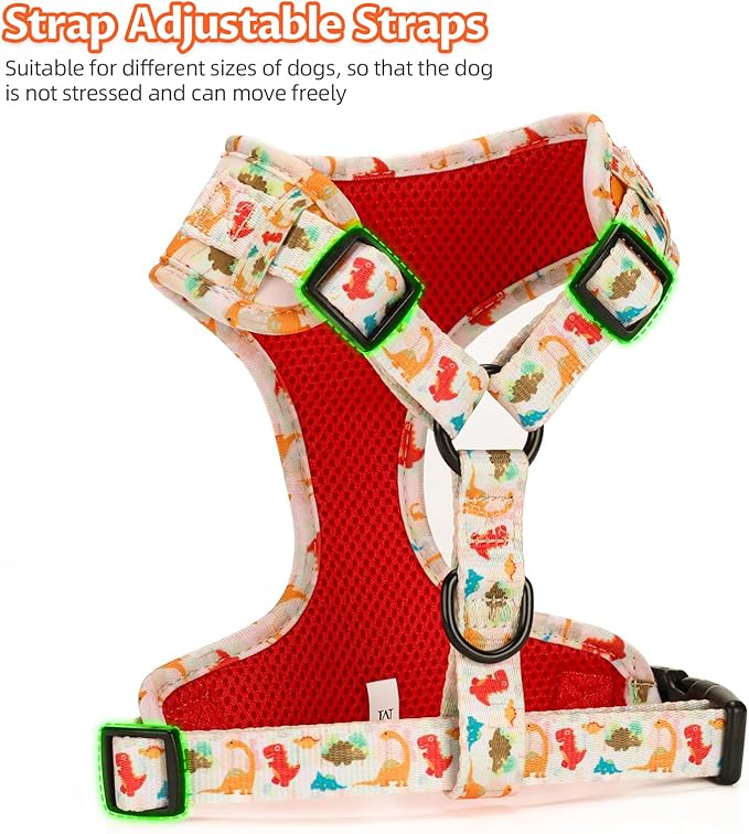 Dog Harness and Leash Set, Adjustable Dog Harness, Dog Leash, No Pull No Choke Puppy Harnesses for Walking Training for Small Medium Pet