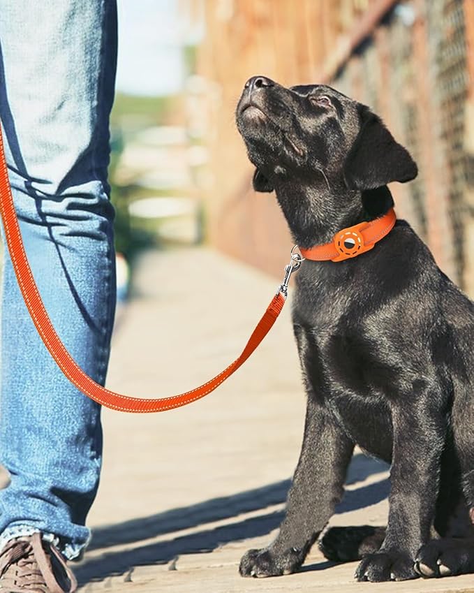 6FT Reflective Nylon Dog Leash with Soft Padded Handle for Walking, Running and Training, Supports Small Medium and Large Dogs (Orange, 1 Inch Wide)