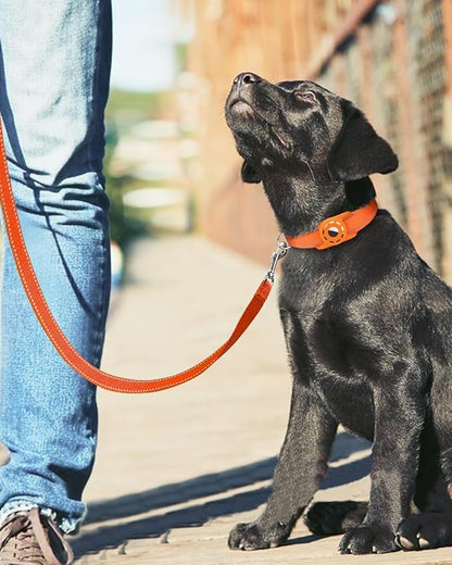 4FT Reflective Nylon Dog Leash with Soft Padded Handle for Walking, Running and Training, Supports Small Medium and Large Dogs (Orange, 3/4 Inch Wide)