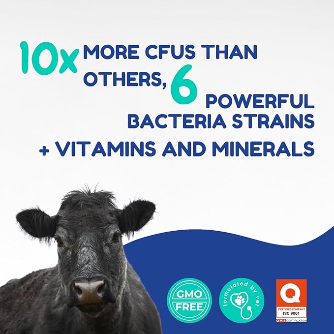 Ruminants Pre and Probiotic Paste (80g)- Pre and Probiotics with Vitamins and Minerals- 6 Strains and 8 Billion CFU- Immune and Gastro Health Support for All Ruminants: Bovines, Goats & More
