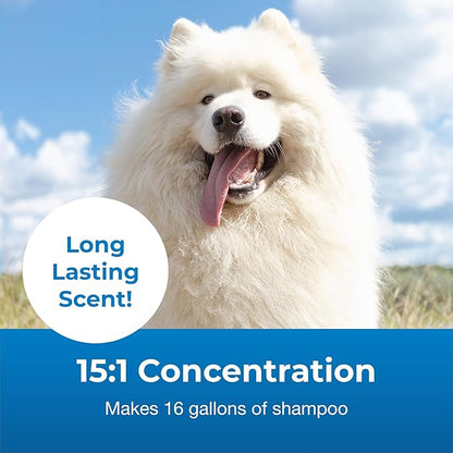 PetAg Fresh ’n Clean Whitening Snowy-Coat Shampoo, Vanilla Scent (15:1 Concentrate) - 1 Gallon - Bleach-Free Formula to Correct Yellow Discoloration - Strengthens & Moisturizes Coats - Soap Free
