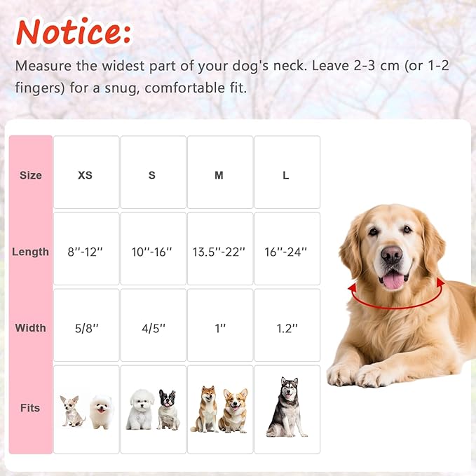Valentines Dog Collar with Multi-Heart Pattern, Adjustable Puppy Collar with Safety Buckle & Heart Charm, Spring Summer for Girl Boy Dogs-XS