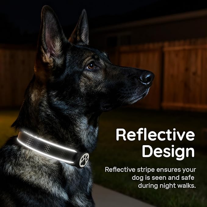 Airtag Dog Collar, IPX8 Waterproof Air Tag Dog Collar Holder | Reflective Ultra-Durable | Soft Padded | Safety Locking Buckle | Fit Miedium Dogs (Black M(12.6"-19.6"))