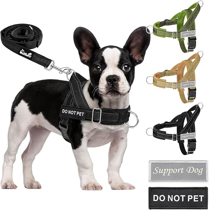 SlowTon No Pull Dog Harness - Heavy Duty Dog Harness and Leash Set for Medium Large Dogs, Reflective Tactical Harness with Soft Padded and Front Clip for Easy Walk and Training （B, M